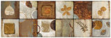 Buy Natural Elements I at AllPosters.com