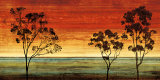 Buy Sunset Vista I at AllPosters.com