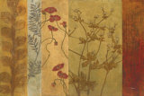 Garden Song II