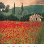 Poppies II
