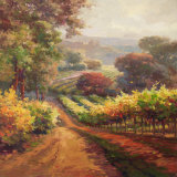 Buy Vineyard Way at AllPosters.com