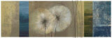 Grasses II