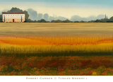Tuscan Memory I