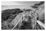 Pathway to Beach