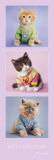 Rachael Hale - Kitty Couture