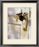 Buy Wren on the Doorknob at AllPosters.com
