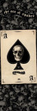 Ace Of Spades