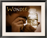 Wonder
