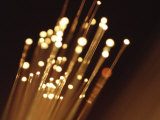 Buy Ends of Fiber Optic Cables with Bright Lights at AllPosters.com