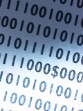 Dollar Sign Embedded in Row after Row of Binary Code