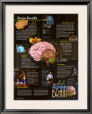 Brain Health