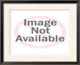Buy Learn by Doing at AllPosters.com