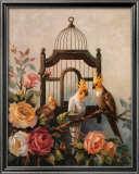 Buy Cockatiel and Roses at AllPosters.com