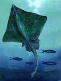 Stingray and Fish Underwater