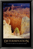 Buy Determination at AllPosters.com