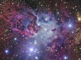 Fox Fur Nebula