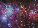 NGC 2264