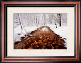 Buy Autumn Passage at AllPosters.com