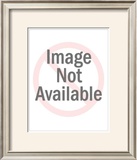 Buy Petite Fleurs at AllPosters.com