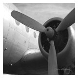 Vintage Flight III