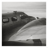 Buy Vintage Flight II at AllPosters.com