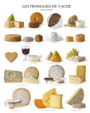 Buy Cow Cheese at AllPosters.com