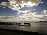 Buy Elephant Herd, Botswana at AllPosters.com
