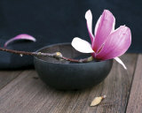 Buy Pink Flower at AllPosters.com