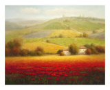 Fields of Red and Gold II