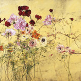 Ranunculus, Peonies and Red Tulips