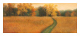 Path to the Woods