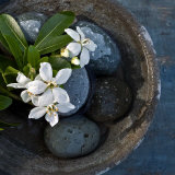 Vasque et Fleures Art Print