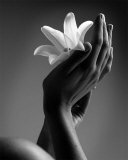 Caress,
