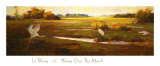 Buy Wings over the Marsh at AllPosters.com