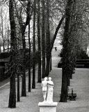 Buy Parc de Saint-Cloud, c.1981 at AllPosters.com