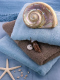 Coquillage et Eponges Art Print