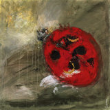 Coccinelle