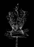 Buy Water Game at AllPosters.com