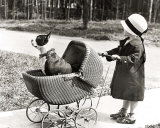 Walking the Dog