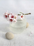 Almond Tree
