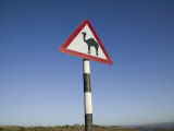 Oman, Dhofar Region, Salalah, Camel Crossing Sign in the Dhofar Mountains