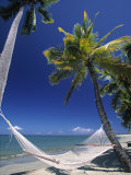 Hammock on Beach, Danarau, Viti Levu, Fiji