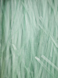 Cellophane Noodles, Market, Xizhou, Erhai Hu Lake Area, Yunnan Province, China