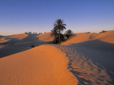 Sahara Desert, Douz, Tunisia