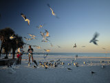 Clearwater Beach, Florida, USA