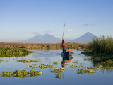 Fisherman, Agua and Pacaya Volcanoes in the Background, Monterrico, Pacific Coast, Guatemala