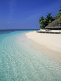 Buy Tropical Beach, Maldives, Indian Ocean at AllPosters.com