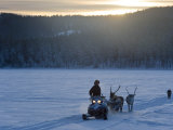 Buy Winter Landscape, Reindeer and Snowmobile, Jokkmokk, Sweden at AllPosters.com
