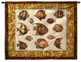 Buy Coral Fish Study at AllPosters.com