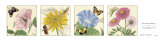 Buy Four Summer Flowers at AllPosters.com